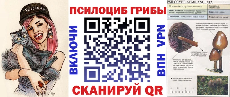 Купить закладки  Абдулино  Псилоцибиновые грибы Psilocybe 